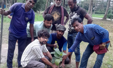 শহীদ মুগ্ধ স্মরণে সহপাঠীদের বৃক্ষরোপণ