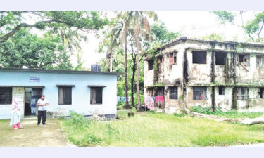 সংকট-অব্যবস্থাপনায় মৎস্য বীজ খামার