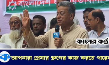 নির্বাচন না চাইলে রাজনৈতিক দল গঠন করার প্রয়োজন নেই : আমীর খসরু