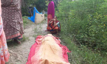চিতলমারীতে নিখোঁজ নারীর মরদেহ মিলল মাছের ঘেরে
