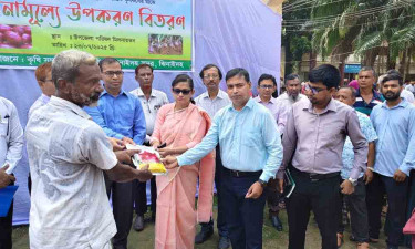 ঝিনাইদহে কৃষকদের মাঝে গ্রীষ্মকালীন পেঁয়াজের বীজ-সার বিতরণ