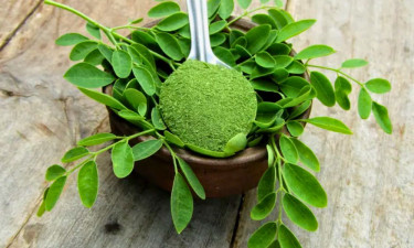 যেসব রোগে শজনেপাতা থেকে দূরে থাকা উচিত