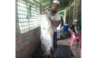 শিকারির বড়শিতে ২৫ কেজির কোরাল