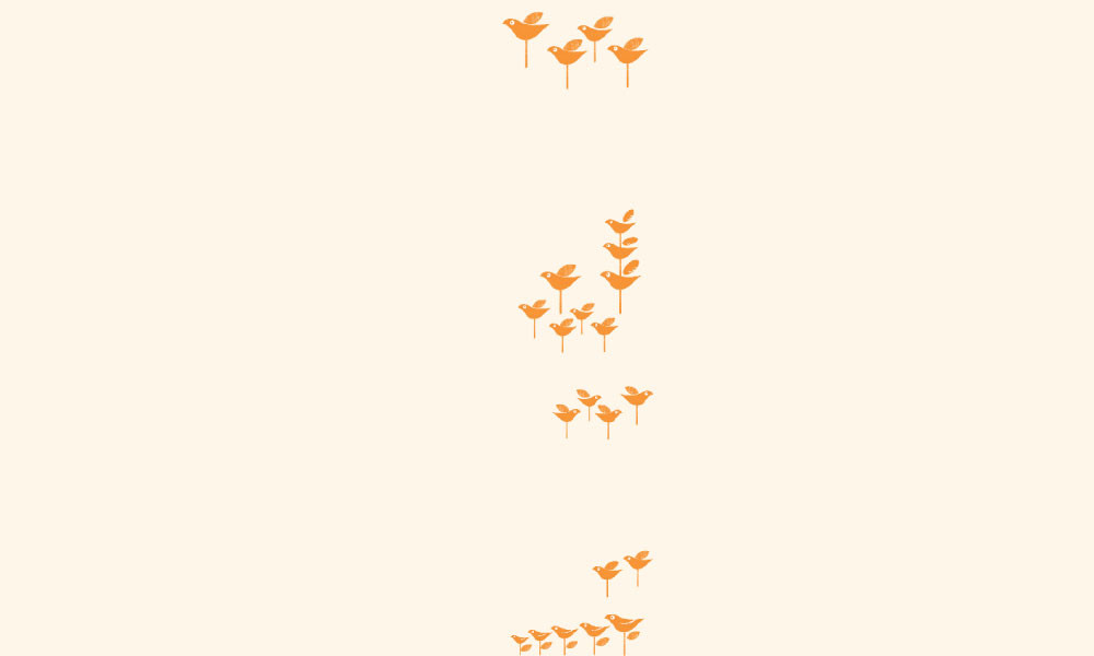 সময় এখন