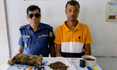 মির্জাগঞ্জে মাদক কারবারি জিয়া সিকদার আটক