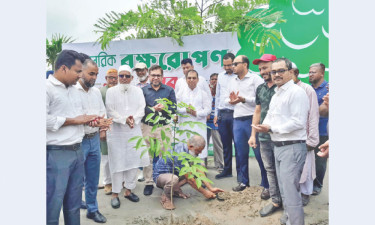 আমিন মোহাম্মদ গ্রুপের গ্রিন মডেল টাউন প্রকল্পে বার্ষিক বৃক্ষরোপণ উৎসব উদ্বোধন