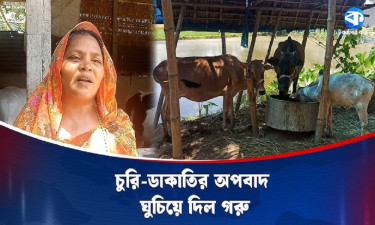 চোর-ডাকাত আর অভাবের ছায়া থেকে ঘুরে দাঁড়াল গ্রামটি