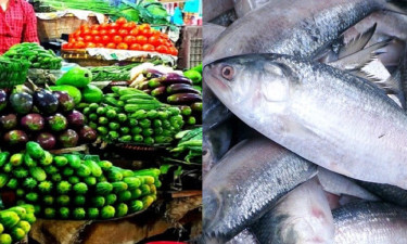স্থিতিশীল সবজির বাজার, দাম কমেছে ইলিশের