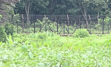 গুলি করে দুই বাংলাদেশিকে হত্যা, একজনের মরদেহ ভারতের হাসপাতালে