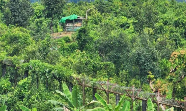নাইক্ষ্যংছড়ি সীমান্তে গোলাগুলি, আতঙ্কে স্থানীয়রা