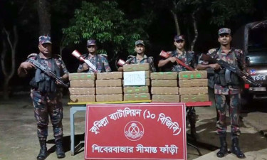 সীমান্তে কোটি টাকার ভারতীয় আতশবাজি ও চিংড়ি রেণু জব্দ