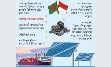 ইন্দোনেশিয়ার বিনিয়োগ আসবে জ্বালানি খাতে