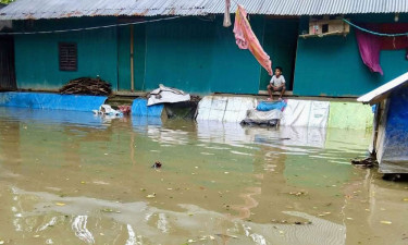 টানা বৃষ্টি-জোয়ারের পানিতে প্লাবিত ১১ গ্রাম, তলিয়ে গেছে ঘরবাড়ি-ফসলি জমি