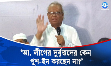 নিরীহ মুসলিমদের নয়, শেখ হাসিনাকে পুশ-ইন করুন : ভারতকে রিজভী