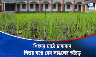 শিক্ষার মাঠে শস্যের সারি, শিশুর স্বপ্ন কি তবে ডুবে যাচ্ছে?