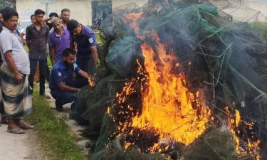 বালিয়াকান্দিতে ১০ লাখ টাকার চায়না দুয়ারি জাল ধ্বংস