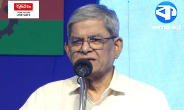 দেশে অস্থিরতা সৃষ্টি করার চক্রান্ত চলছে : মির্জা ফখরুল