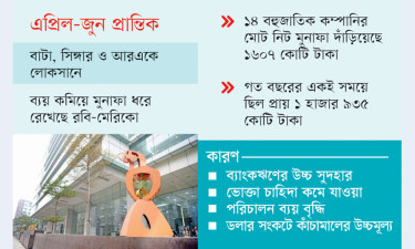 পুঁজিবাজারে বহুজাতিক কম্পানির মুনাফায় ১৭% পতন