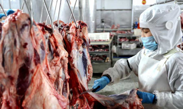 দেশীয় শিল্পে গরুর মাংস আমদানির প্রভাব, তদন্তের মেয়াদ বাড়ল চীনে