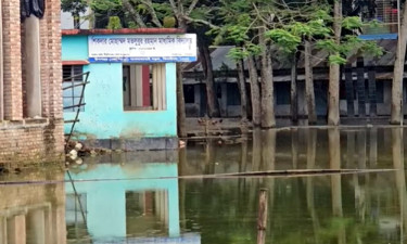 টানা বৃষ্টিতে প্লাবিত ঝিনাইদহ, পানি নিষ্কাশনে মাঠে বিএনপি নেতাকর্মীরা
