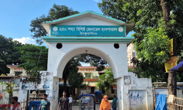 হাসপাতালে অ্যান্টিভেনম সংকট, ঠাকুরগাঁওয়ে দুই সপ্তাহে ৫ জনের মৃত্যু