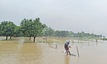 চাঁপাইনবাবগঞ্জে বাড়ছে নদীগুলোর পানি