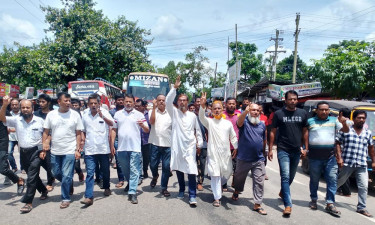 সন্ত্রাস ও চাঁদাবাজের বিরুদ্ধে বিএনপির বিক্ষোভ মিছিল