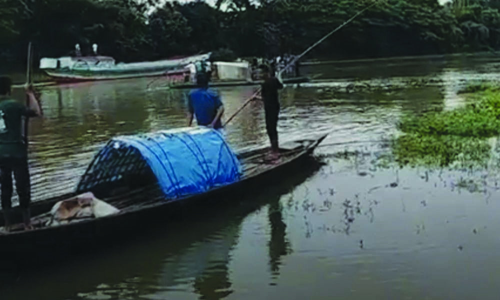 ফেসবুকে স্ট্যাটাস দিয়ে নদীতে ঝাঁপ কলেজছাত্রীর, লাশ খুঁজে পায়নি ডুবুরি দল