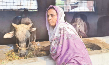 অদম্য আম্বিয়া বদলে দিলেন গ্রাম