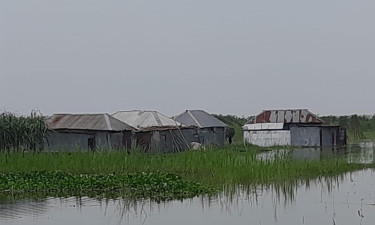 পদ্মা ফুঁসছে, প্রায় ৪০ হাজার মানুষ পানিবন্দি দৌলতপুরে