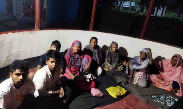 পীরগঞ্জ সীমান্তে ৮ জনকে ঠেলে দিল বিএসএফ