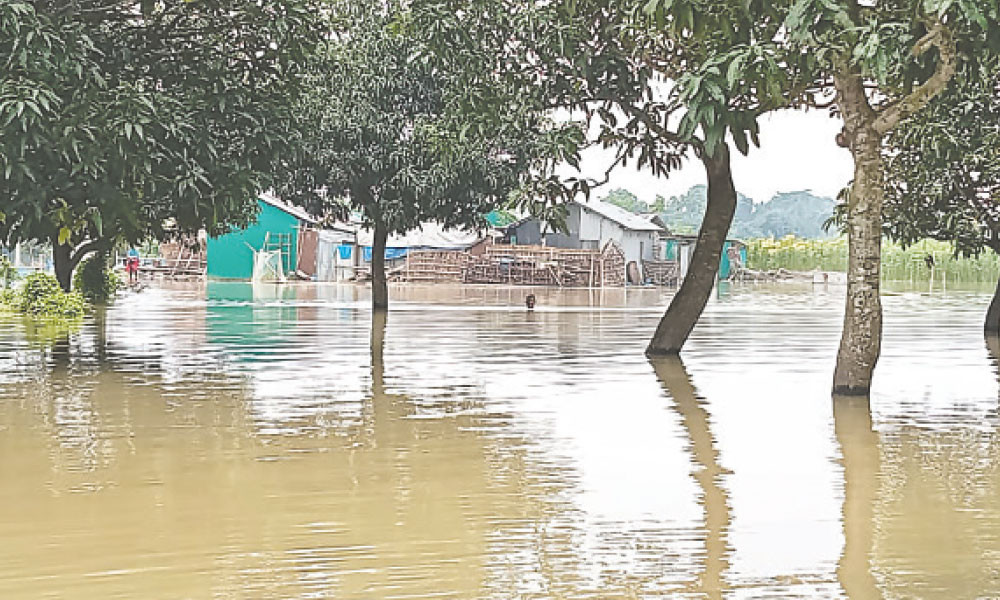 বন্যার শঙ্কা, তলিয়ে গেছে ফসল, নদ-নদীতে পানি বাড়ছেই
