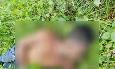 কেশবপুরে ঝোপের পাশে পড়ে ছিল ভ্যানচালকের মরদেহ