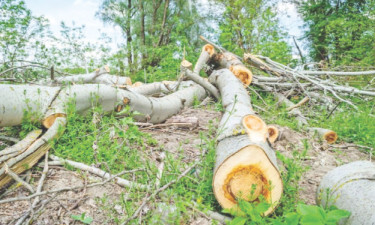 ষষ্ঠ শ্রেণি : বাংলাদেশ ও বিশ্বপরিচয়