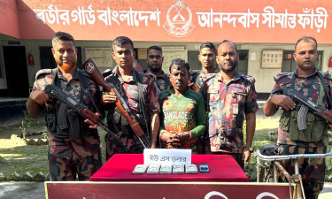 মুজিবনগরে ৫১ হাজার মার্কিন ডলারসহ চোরাকারবারি আটক