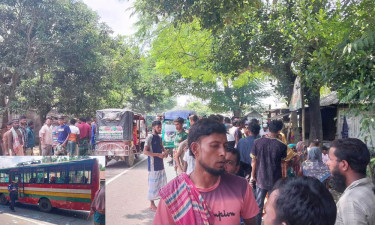 শেরপুরে বাসচাপায় পথচারী নিহত