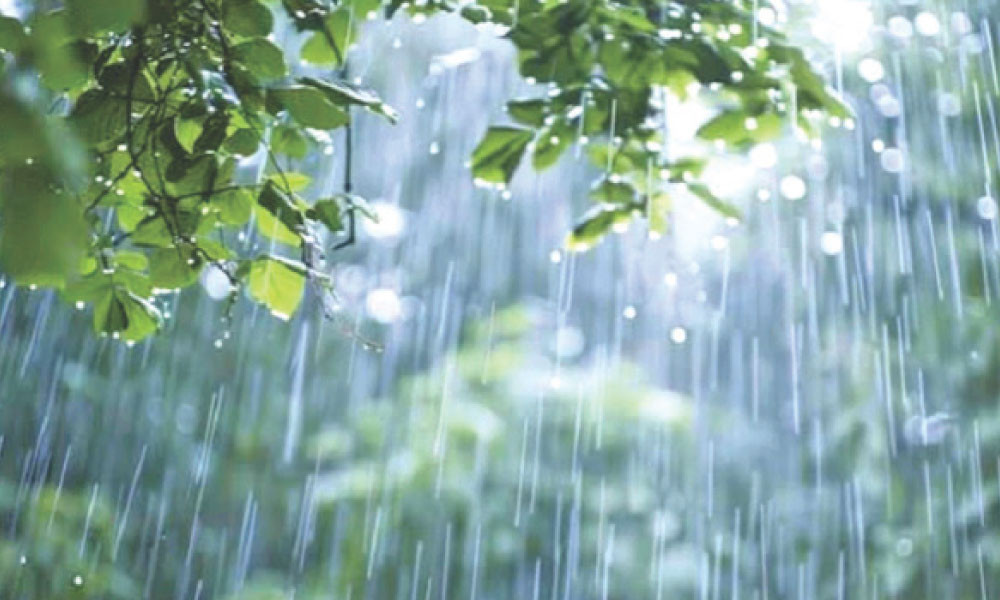 একাদশ ও দ্বাদশ শ্রেণি : ভূগোল প্রথম পত্র