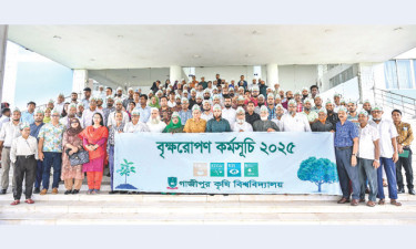 গাকৃবিতে বৃক্ষরোপণ কর্মসূচি ২০২৫ পালিত
