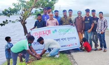 বজ্রপাত রোধে দোয়ারাবাজারে বসুন্ধরা শুভসংঘের তালবীজ রোপণ