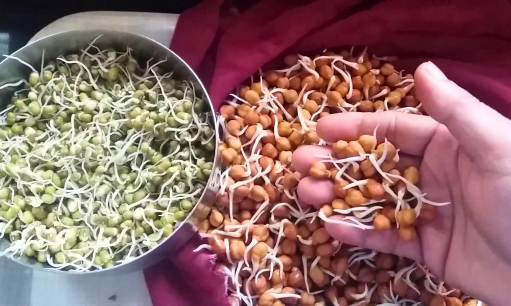 অঙ্কুরিত মুগ-ছোলা খেলে কী হয়