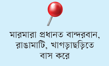 সপ্তম শ্রেণি : বাংলা প্রথম পত্র