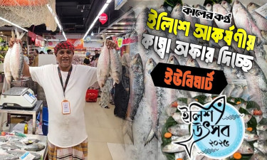 ইউনিমার্টে 'ইলিশ কম্বো অফার'