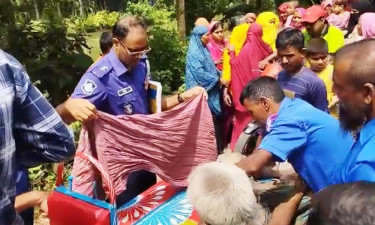 ফরিদপুরে গাছচাপায় শ্রমিকের মৃত্যু