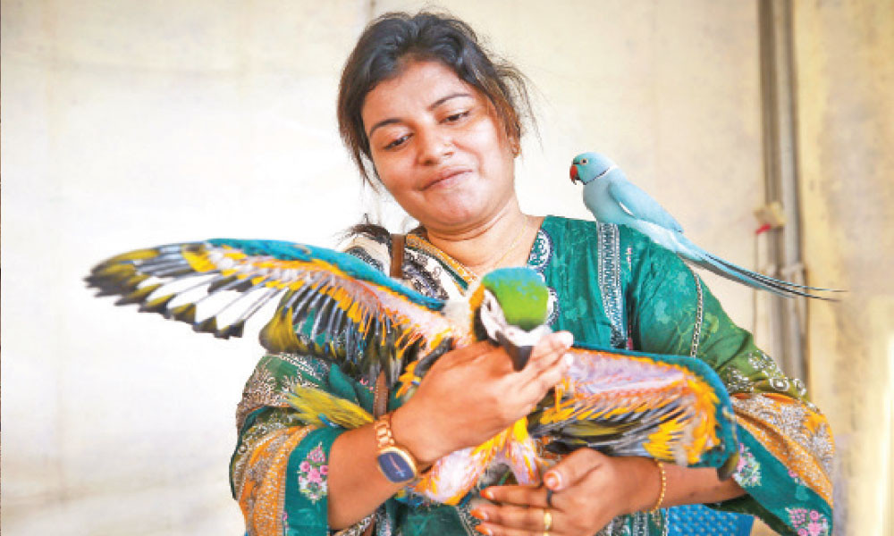 রাজধানীতে রকমারি প্রাণীর মেলা