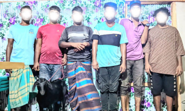 ছাগল চুরির অপরাধে ৬ যুবক কারাগারে