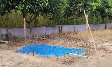 বাবা ও সৎমায়ের বিরুদ্ধে মেয়েকে হত্যার অভিযোগ