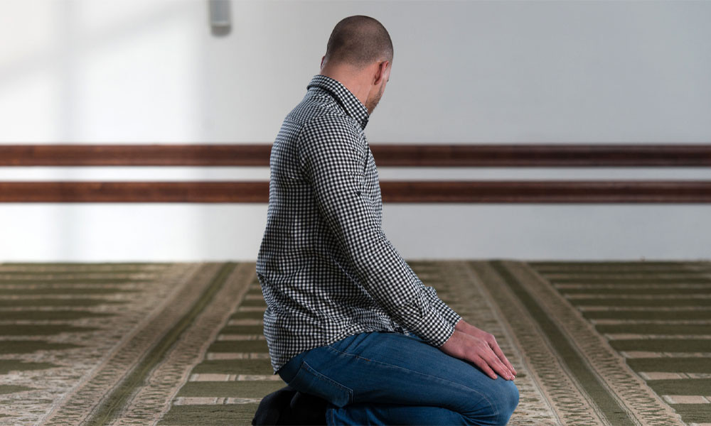 Porno multfilm Raf Sulfusni sikadi Orqa tarafdagi sikning surati