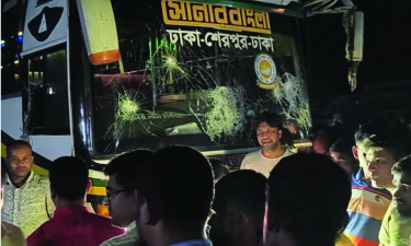 শেরপুরে বাসচাপায় নারী নিহত