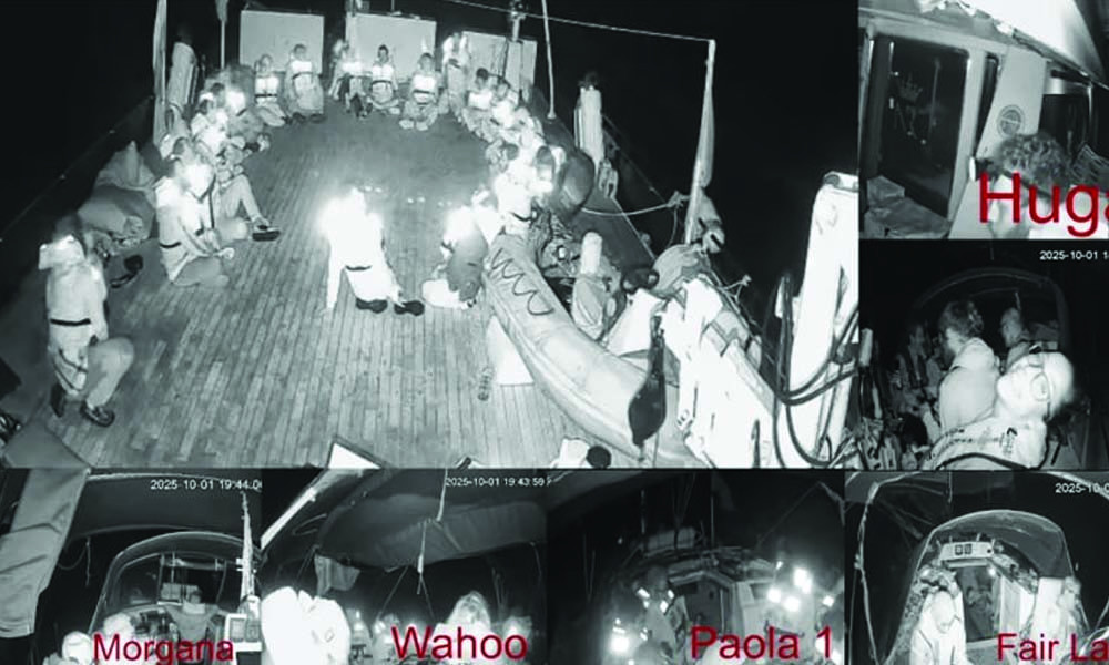 Orihime va Rukia bilan Ichigo jinsiy aloqa