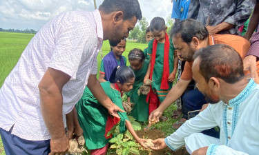 খুদে শিশুদের চেষ্টায় ৩০০ তালের বীজ বপন